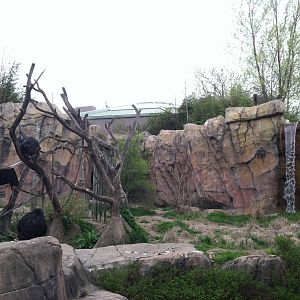 Saint Louis Zoo: Fragile Forest