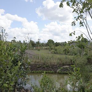 Islands problem areas - the space for the tapirs