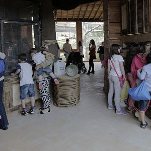 Islands problem areas - Tripa obstruction