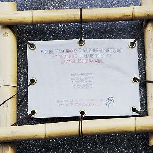 Islands progress - acknowledgement for sponsors