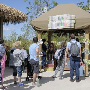 Islands progress - face painting booth