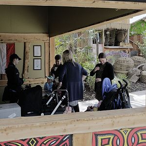 Islands progress - Exit Control