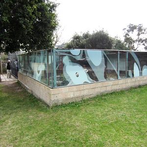 New enclosure under construction