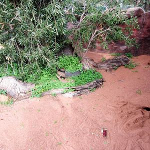 Sand Monitor enclosure