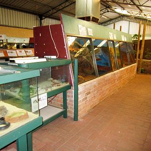 Indoor reptile exhibits