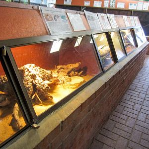 Indoor reptile exhibits