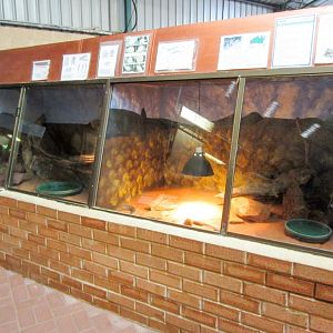 Indoor reptile exhibits