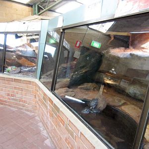 Indoor reptile exhibits