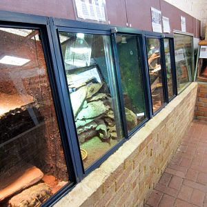 Indoor reptile exhibits