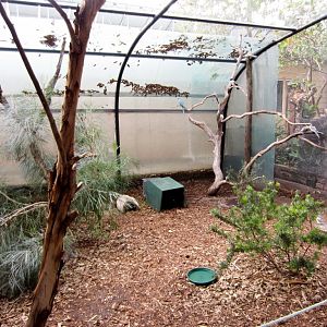 Walkthrough aviary