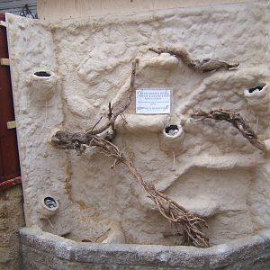 Work on the new Royal Python exhibit