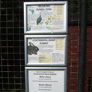 Signs for mixed exhibit