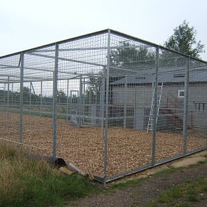 Out door holding cages for Malayan Tigers