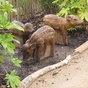 Warty Pigs in wood