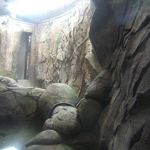 View of herp exhibits inside Monsoon Forest