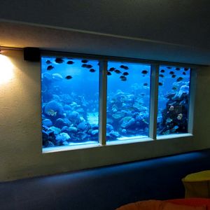 Outdoor reef tank underwater vieweing