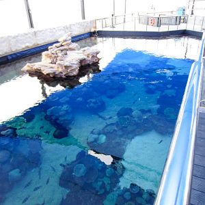 Outdoor Reef enclsoure