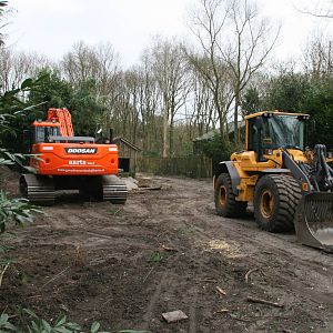 Excavators in the zoogrounds