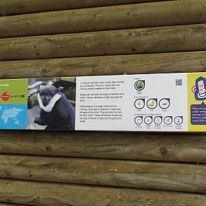 Signage example 110715