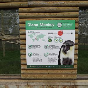 Diana Monkey signage 110715