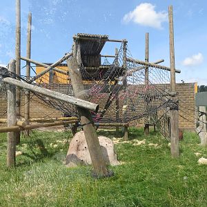 Ape climbing frame 110715