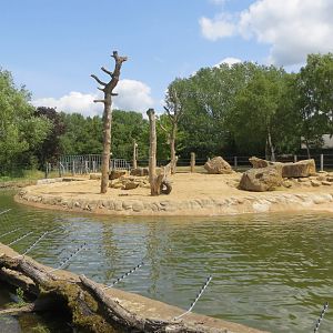 Elephant enclosure 110715