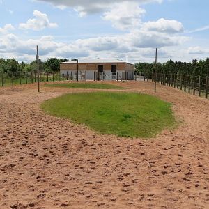 Giraffe enclosure 110715