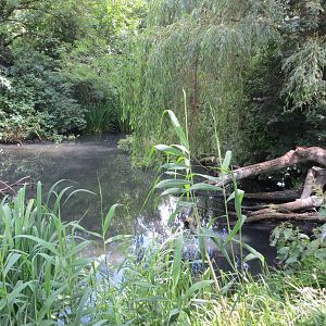 Pelican enclosure 110715