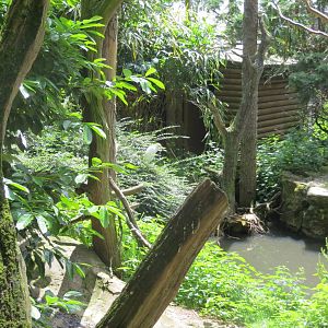 Longhouse Aviary 110715