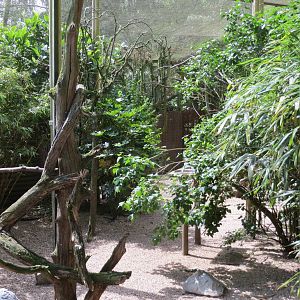Longhouse Aviary 110715