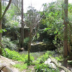 Longhouse Aviary 110715