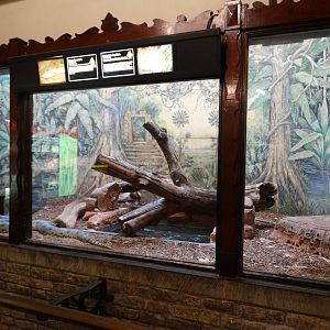 Sep. 2015 - Reptile House - Green Anaconda + Reticulated Python Exhibit
