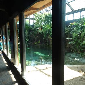 Sep. 2015 - Reptile House - Saltwater Crocodile Exhibit