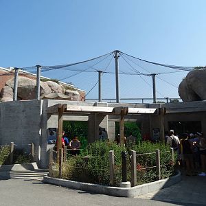 Sep. 2015 - Penguin Beach - East Side Underwater Viewing