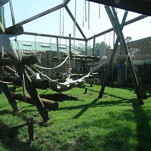 Sep. 2015 - Kingdom of the Apes - Third Bornean Orangutan Exhibit