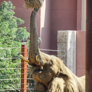 Sep. 2015 - Tembo Trail - Renee