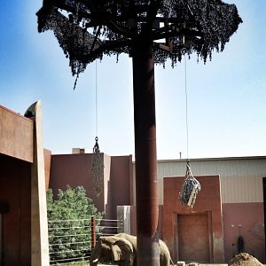 Sep. 2015 - Tembo Trail - Renee