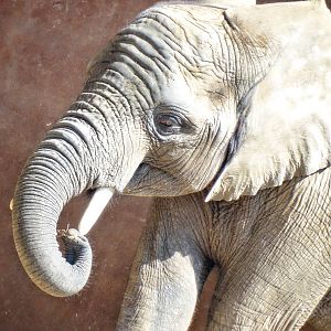 Sep. 2015 - Tembo Trail - Lucas