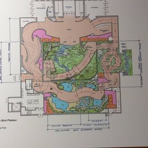 Experience Migration: Bird house plans