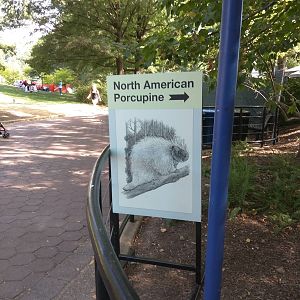 North American Porcupine sign