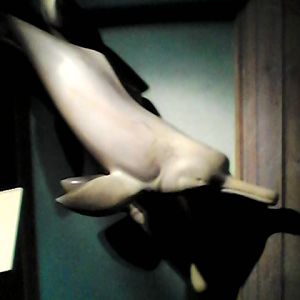 Life-size Boto interpretive in Amazonia