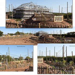 Gibbon Forest (exhibit progress) : Twycross : 06 Sep 2015