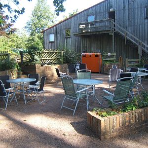 Out door eating area