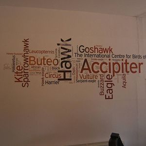 Wall at the back of the shop