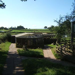 View towards pheasant aviarys
