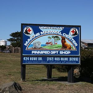 Northcoast Marine Mammal Center