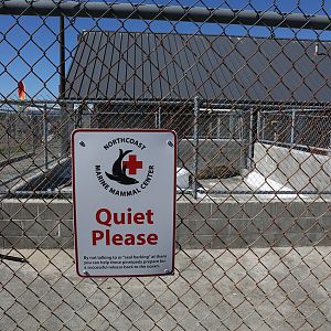 Northcoast Marine Mammal Center