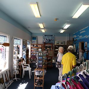 Northcoast Marine Mammal Center