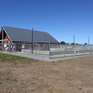Northcoast Marine Mammal Center