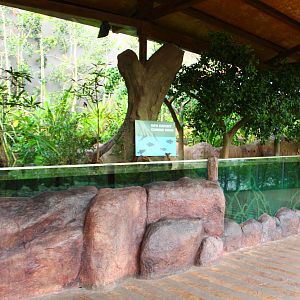 New Mangrove / Coastal display (opening end-2015)